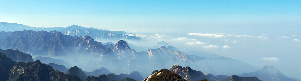 TG������ - �ٷ�APP����